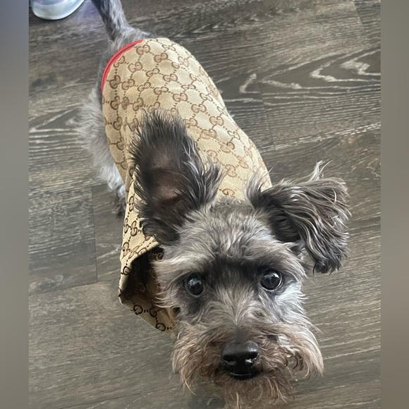 Mini Dog Jacket 🤎 - Picture 4 of 6